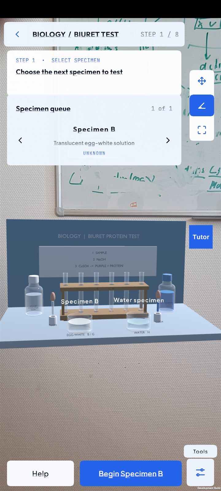 EnvisionEd Biology Biuret protein test placed in a real classroom using Mobile AR